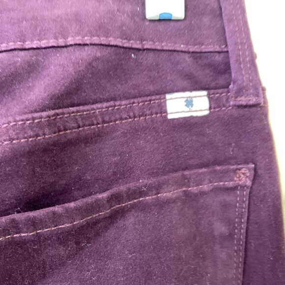 Lucky Brand Velour Jeans women’s size 4/27 Burgandy Goblin Core, Whimsgoth Punk - Picture 4 of 14